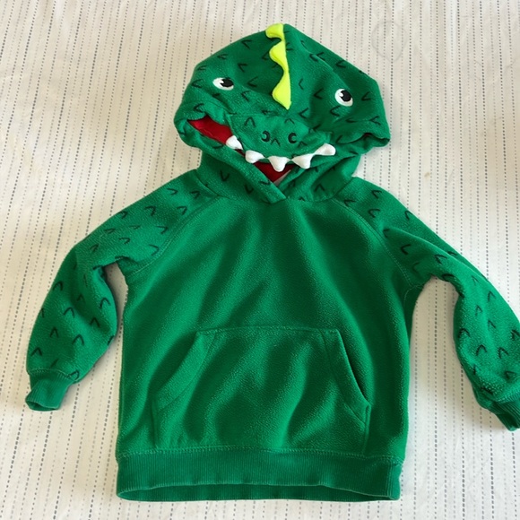 18M fleece Dinosaur hoodie - Picture 1 of 5